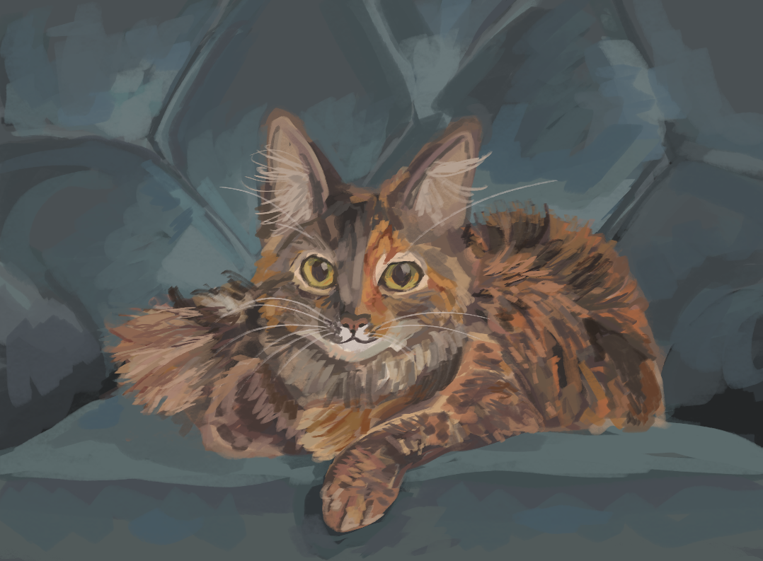 Cat Study